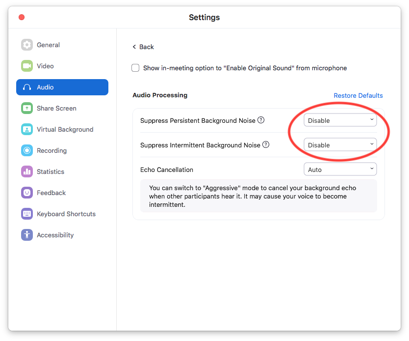 Zoom Settings Audio Advanced