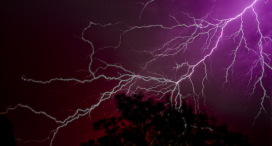 Lightning Over Tree